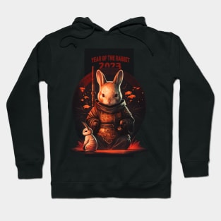 Year of the Rabbit 2023 - Chinese new year Hoodie